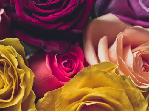 19 Grad Wassermann: Fixstern-Leitfaden, Sabische Symbole und Planeten