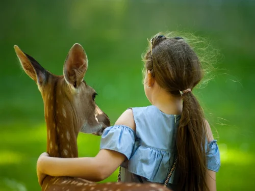 Der Architekt des Horizonts: Eine Analyse des Steinbock-Mannes mit Schütze-Deszendent