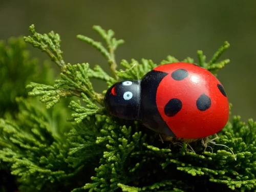 Die Alchemistin der greifbaren Träume: Eine tiefenpsychologische Analyse der Stier-Frau mit Fische-Aszendent