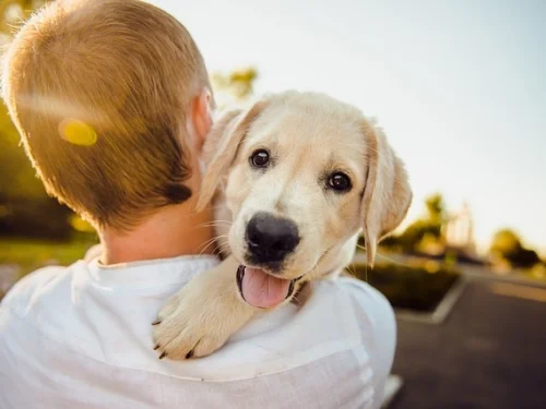 Fixstern Subra: Bedeutung in Häusern und Sternzeichen