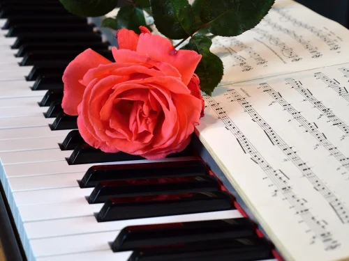 Der Avantgardist auf dem Thron der Zukunft: Eine Analyse des Wassermann-Mannes mit Löwe-Deszendent