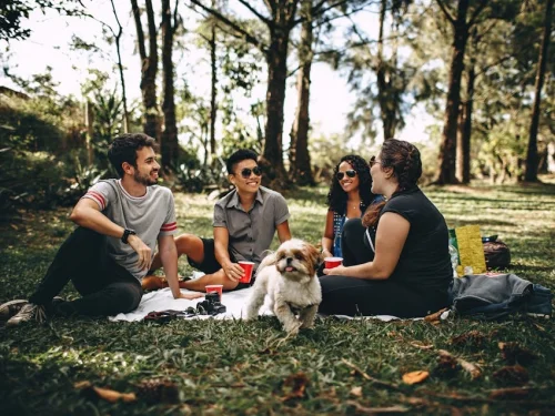 2 Degree Leo: Sabian Symbols, Planetary and Fixed Star Analysis