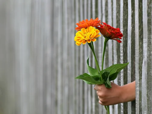 23 Degree Leo: Sabian Symbolism, Planets and Fixed Star Impact