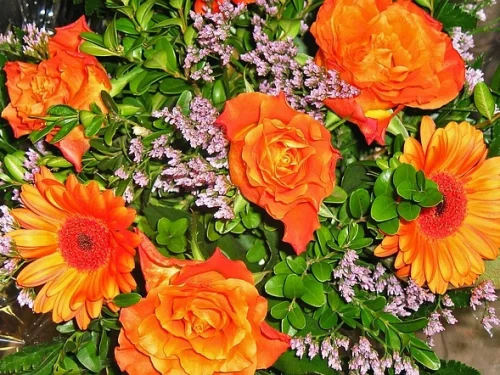 The Sovereign of Substance: An Analytical Portrait of the 2nd House in Taurus