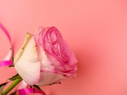 7 Degree Leo: Fixed Star Secrets, Planets and Sabian Symbols