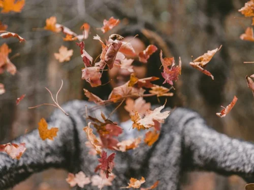 Fixed Star Al Fawaris: Astrological Meaning, Zodiac Signs, Houses, and Calculation Guide