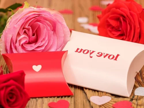 The Solar Empire: A High-Performance Analysis of Leo Man and Aries Woman Synergy