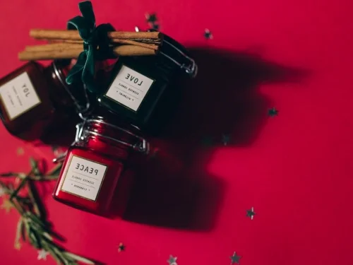 The Operational Genius: Decoding the Moon in Virgo Placement