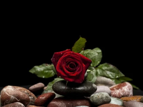 The Holy Architect: Analyzing the Neptune in Virgo Placement