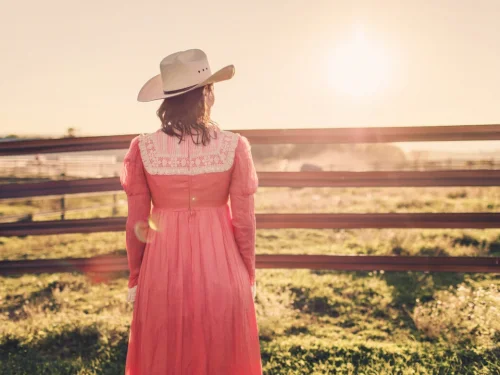 Fixed Star Sadalbari: Astrological Meaning in Zodiac Signs, Houses, and Birth Chart Calculation