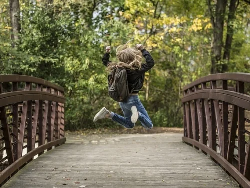 Fixed Star Simiram: Astrological Meaning, Zodiac Signs, Houses, and Calculation Guide