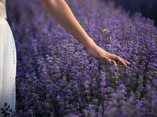 Fixed Star Vathorz Prior: Astrological Meaning, Zodiac Signs, Houses, and Calculation