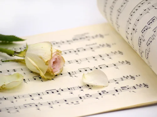 18 Grado Leo: Análisis, Sabianos y Estrellas Fijas