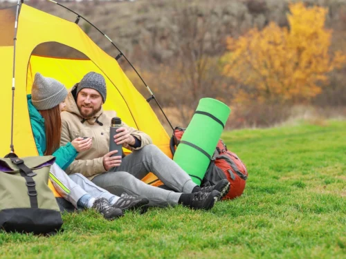 El Alquimista de la Eficiencia: El Poder Magnético de la Casa 6 en Escorpio