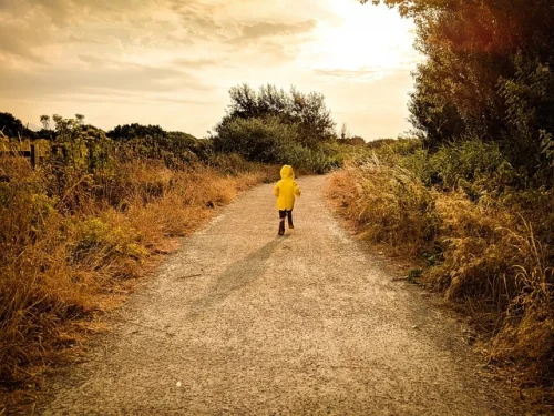 Estrella Fija Hyadum II: Significado en las Casas y el Zodiaco
