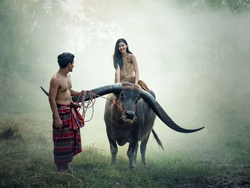 El Arquitecto de Vanguardia con Cimientos de Granito: El Hombre Acuario con Ascendente Tauro