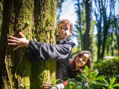 El Alquimista de Acero y Terciopelo: El Poder Estratégico del Hombre Escorpio con Descendente Tauro