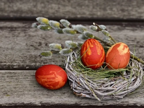 1. Ev Yöneticisi: Hayat Yolculuğunuzun Kaptanı Nerede?