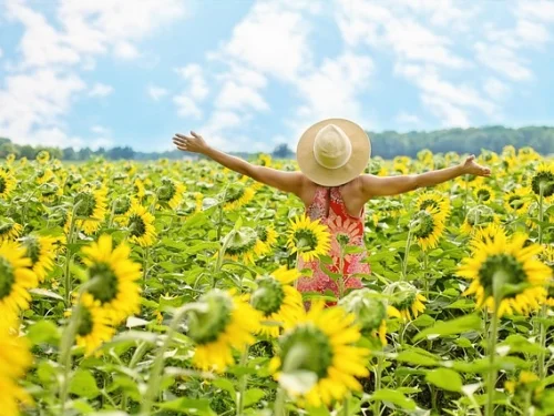 11. Ev Yöneticisi 3. Evde: Sosyal Vizyonun Elçisi