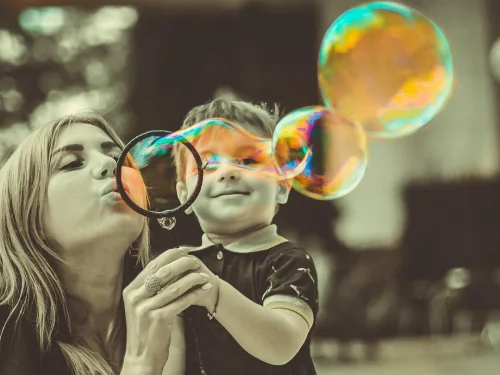 2. Ev Yöneticisi 2. Evde: Maddi Güvenliğin Temeli