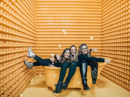 6. Ev Yöneticisi: Günlük Rutinler, Sağlık ve Hizmetin Rotası