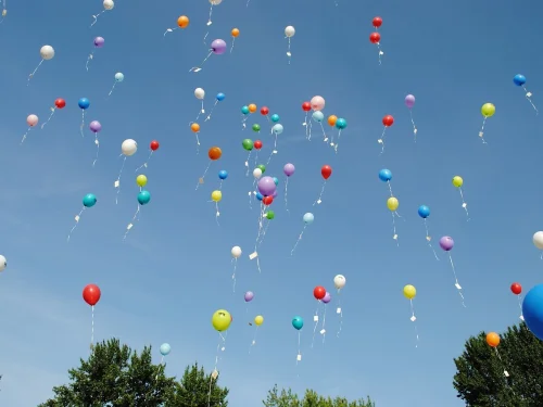 7. Ev Yöneticisi: Evlilik, Ortaklıklar ve İlişkilerin Rotası