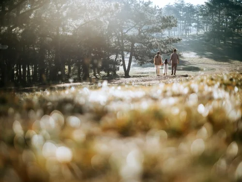 Alphecca Sabit Yıldızı: Astrolojik Anlamı, Burçlar, Evler ve Hesaplama