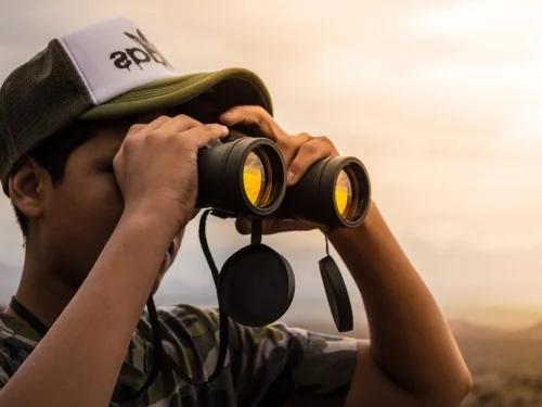 Başak Erkeği Başak Kadını Uyumu: Mükemmel Düzenin Aşkı