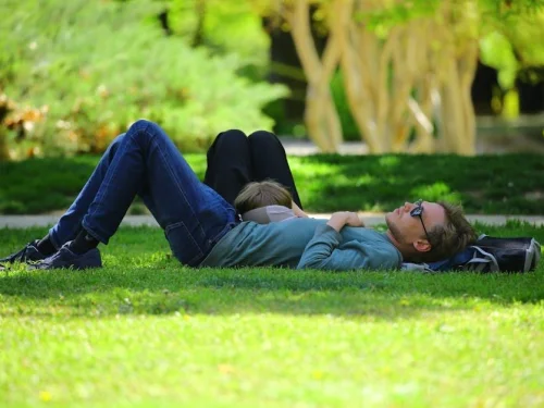 Chow Sabit Yıldızı: Astrolojik Anlamı, Burçlar, Evler ve Hesaplama