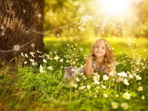 Heka Yıldızı Astroloji Verileri: Burç ve Ev