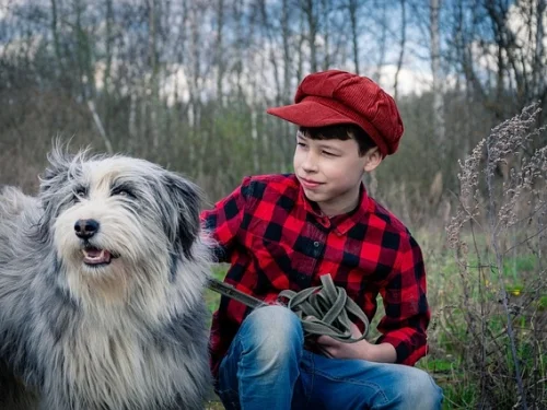 Hydor Sabit Yıldızı: Astrolojik Anlamı, Burçlar, Evler ve Hesaplama