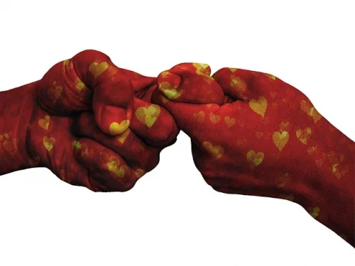 Juno 8. Evde: Derin Bağlar, Ortak Kaynaklar ve Tutku