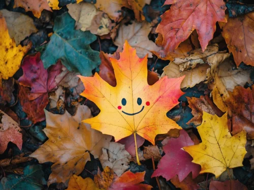 Kova Erkeği Yengeç Kadını Uyumu: Özgür Ruh ve Hassas Kalbin Macerası