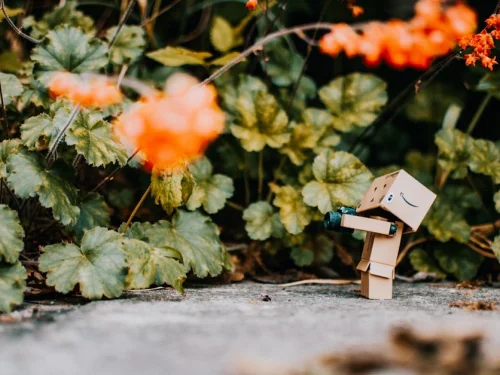 Kuzey Ay Düğümü 7. Evde: Kaderin Ortaklıklar Üzerinden Yolu