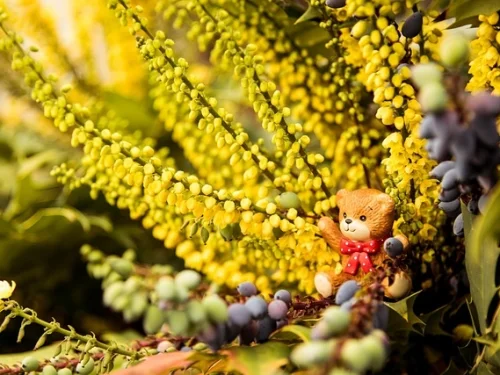 Özgürlük ve Bağımsızlık Noktası