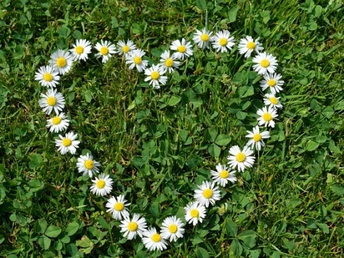 Porrima Sabit Yıldızı: Astrolojik Hesaplama Ev Burç Yorumu