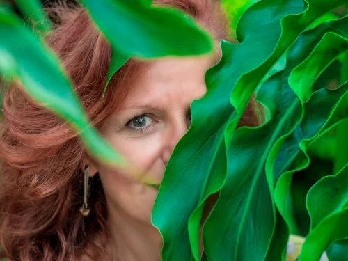 Refah ve Zenginlik Noktası