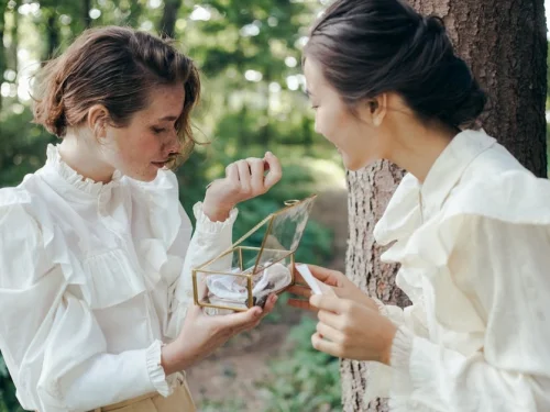 Syrma Sabit Yıldızı: Astrolojik Anlamı, Burçlar, Evler ve Hesaplama Rehberi