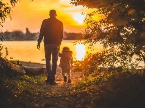 VESTA BURCU HESAPLAMA