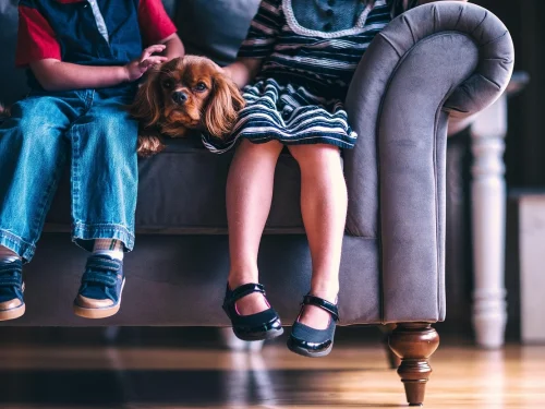 29 Grau Virgem: Energia Sabiana e Planetas