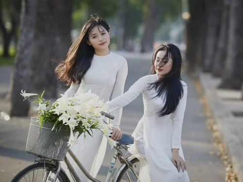 Sao Cố Định Auva: Ý Nghĩa Chiêm Tinh, Tính Toán Vị Trí Nhà